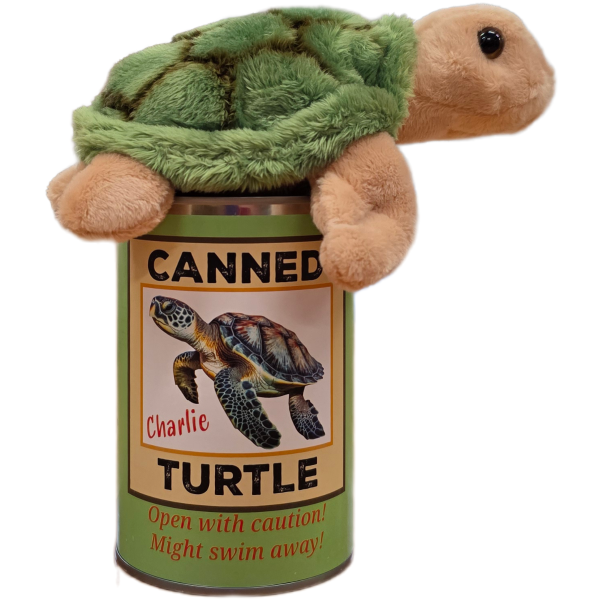 Canned Turtle - Image 6