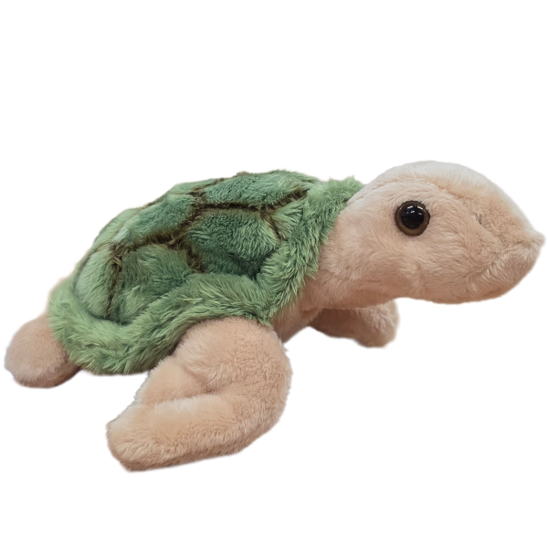 Canned Turtle - Image 5