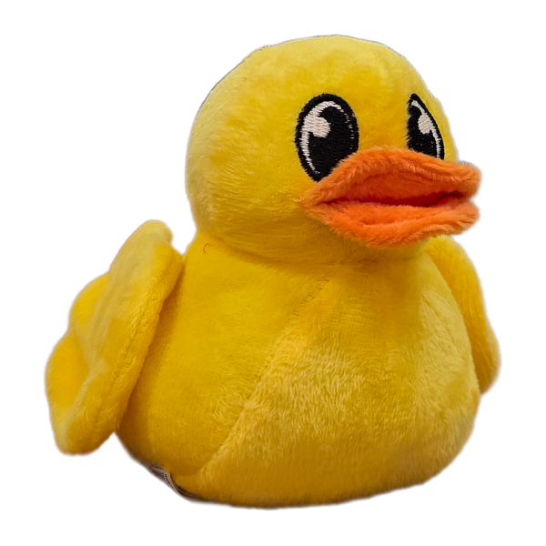 Canned Ducky - Image 5