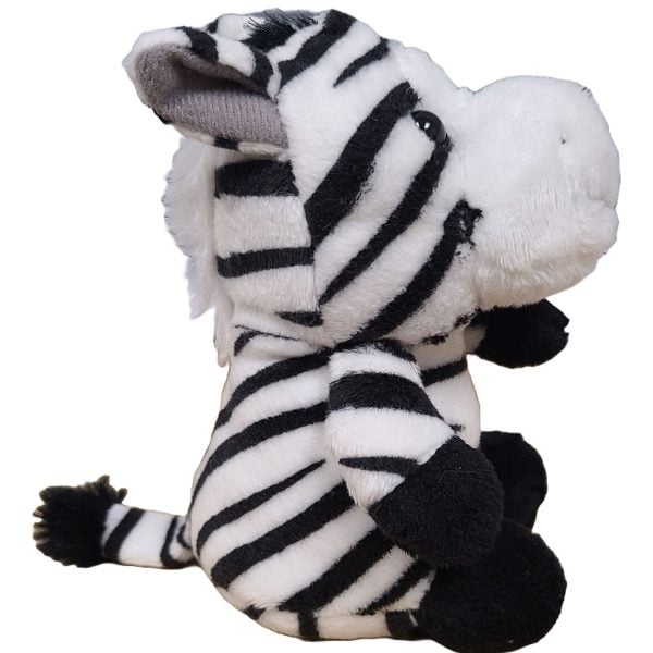 Canned Zebra - Image 4