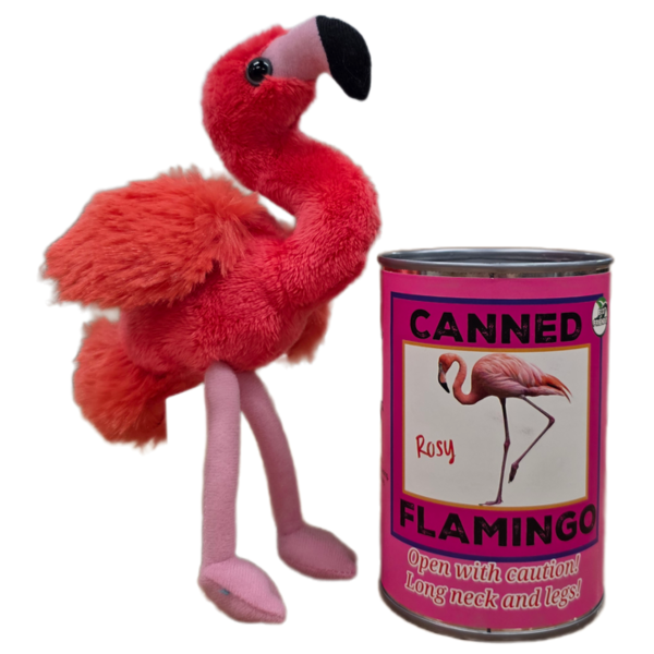 Canned Flamingo - Image 6