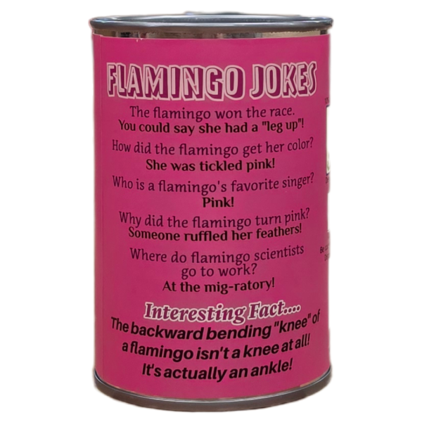 Canned Flamingo - Image 3