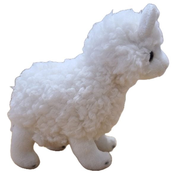 Canned Alpaca - Image 6