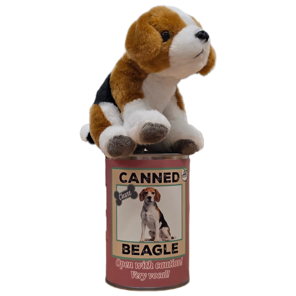 Canned Beagle - Image 6