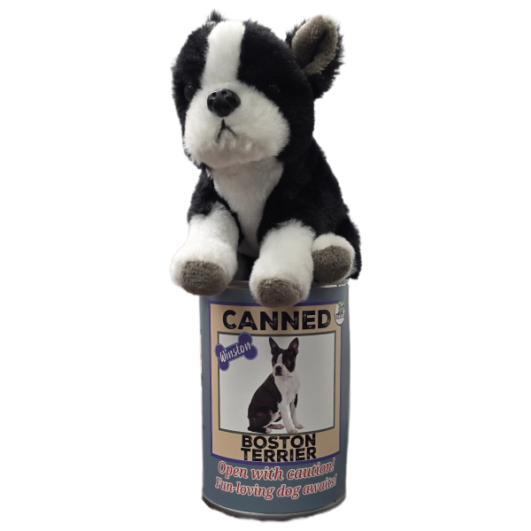 Canned Boston Terrier - Image 6
