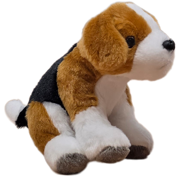 Canned Beagle - Image 5