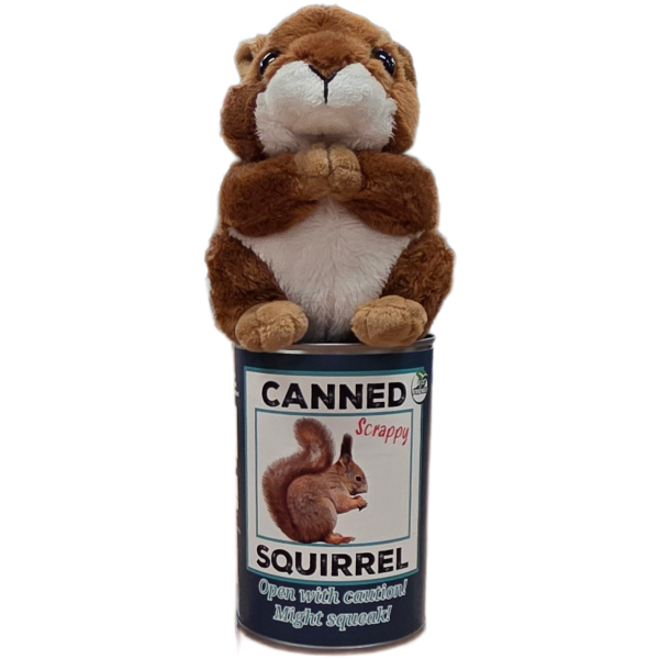 Canned Squirrel - Image 6