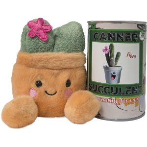Canned Succulent