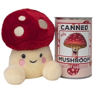 Canned Mushroom