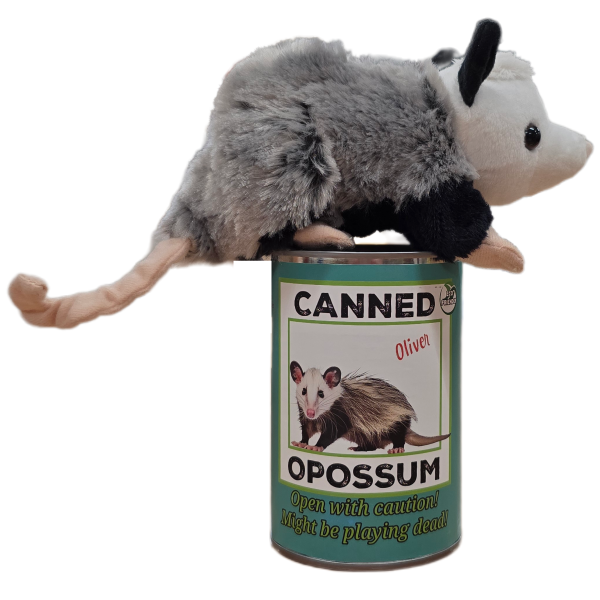 Canned Opossum - Image 6