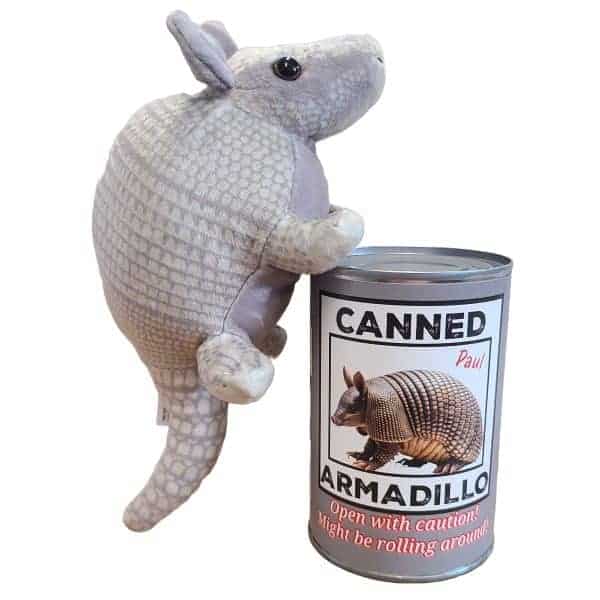 Canned Armadillo - Image 6
