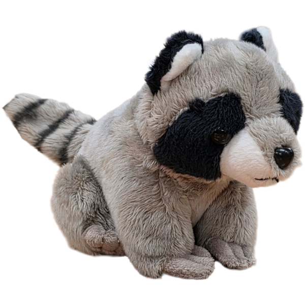 Canned Raccoon - Image 5