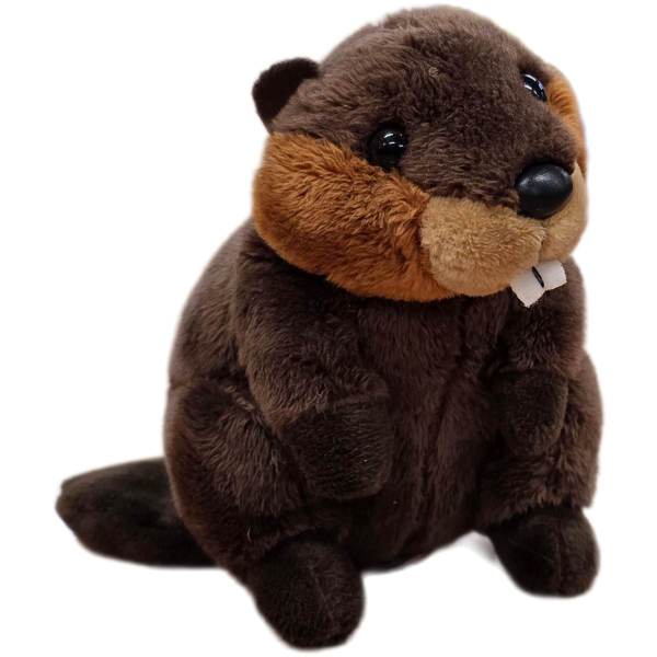 Canned Beaver - Image 5