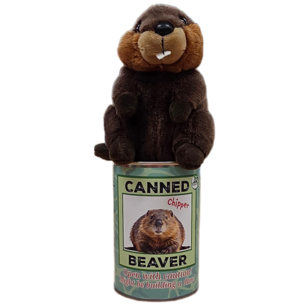 Canned Beaver - Image 6
