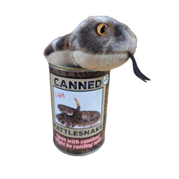 Canned Rattlesnake - Image 5