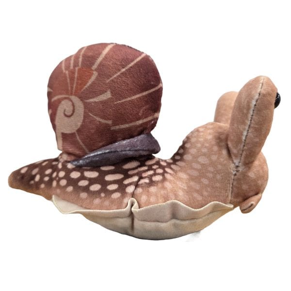 Canned Snail - Image 4