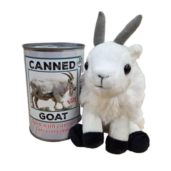 Canned Mountain Goat