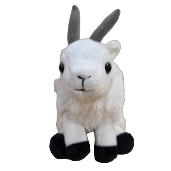 Canned Mountain Goat - Image 6