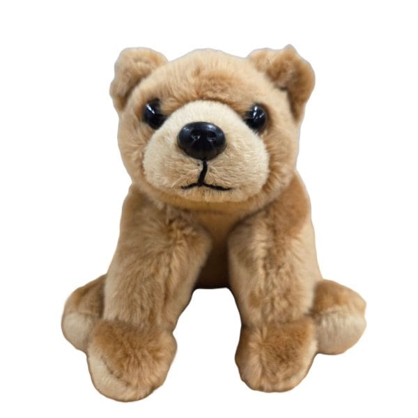 Canned Grizzly Bear - Image 5