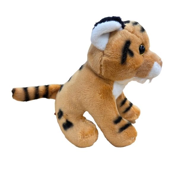 Canned Tiger - Image 6