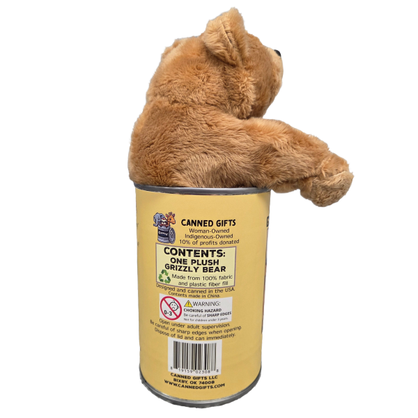 Canned Grizzly Bear (Grand Teton) - Image 3