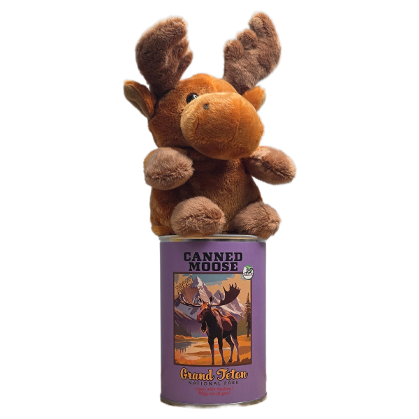 Canned Moose (Grand Teton) - Image 6