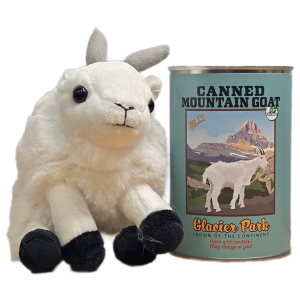Canned Mountain Goat (Glacier Park)