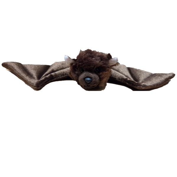 Canned Bat - Image 5