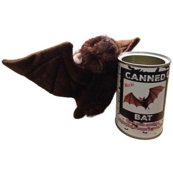 Canned Bat - Image 6