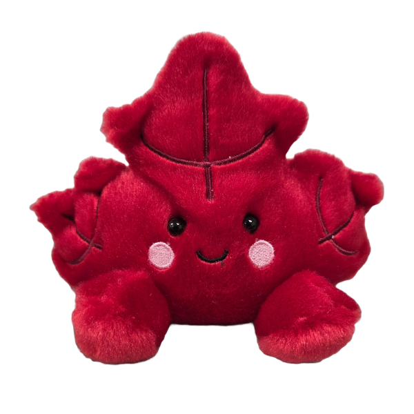 Canned Maple Leaf - Image 5