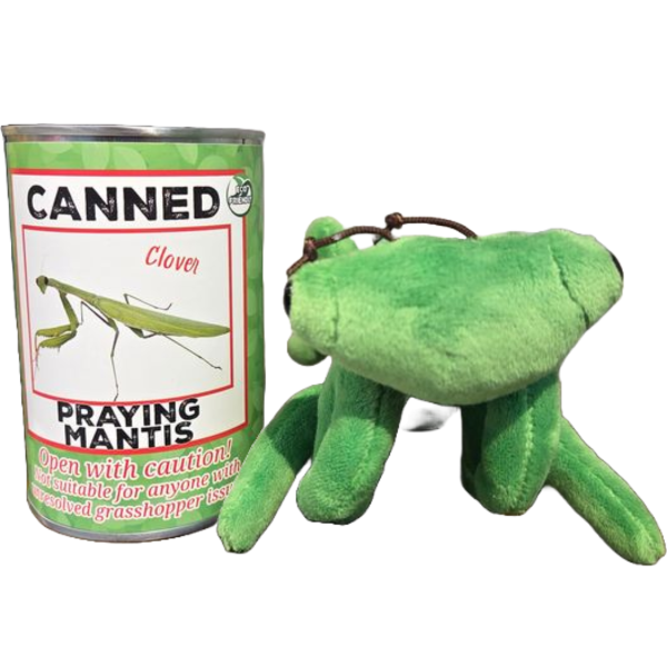 Canned Praying Mantis - Image 5