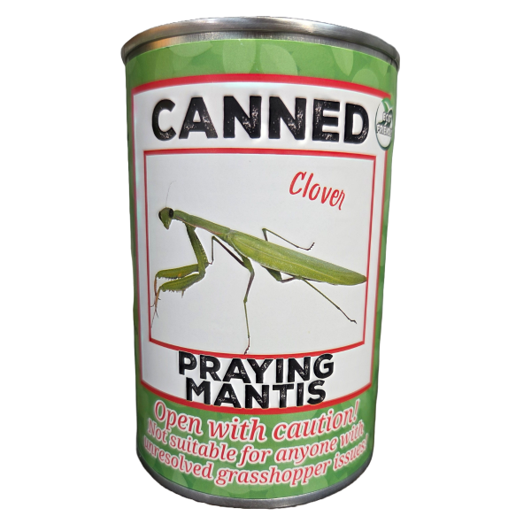 Canned Praying Mantis - Image 6