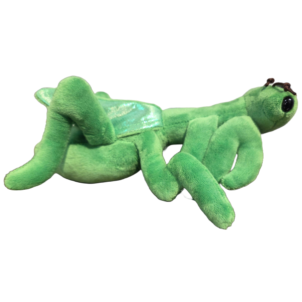 Canned Praying Mantis - Image 4
