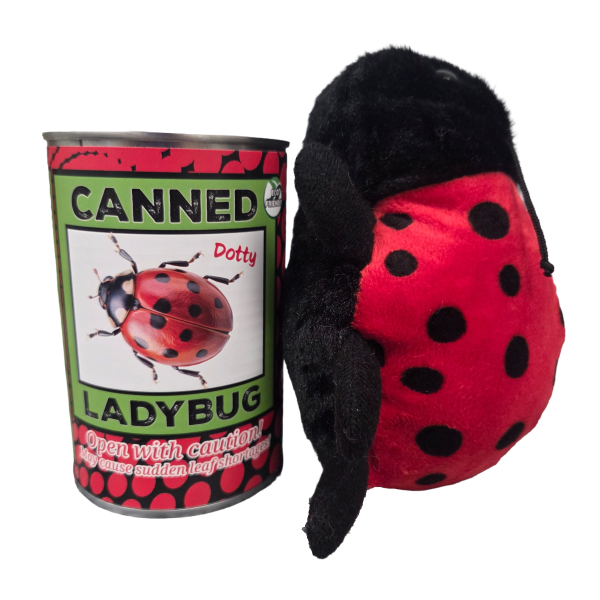 Canned Ladybug - Image 7