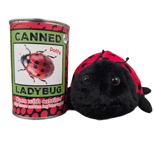 Canned Ladybug - Image 8