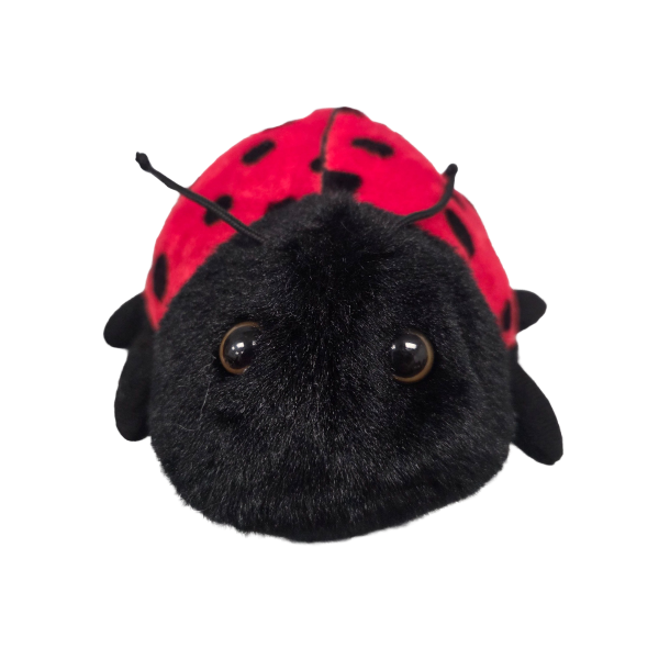 Canned Ladybug - Image 6