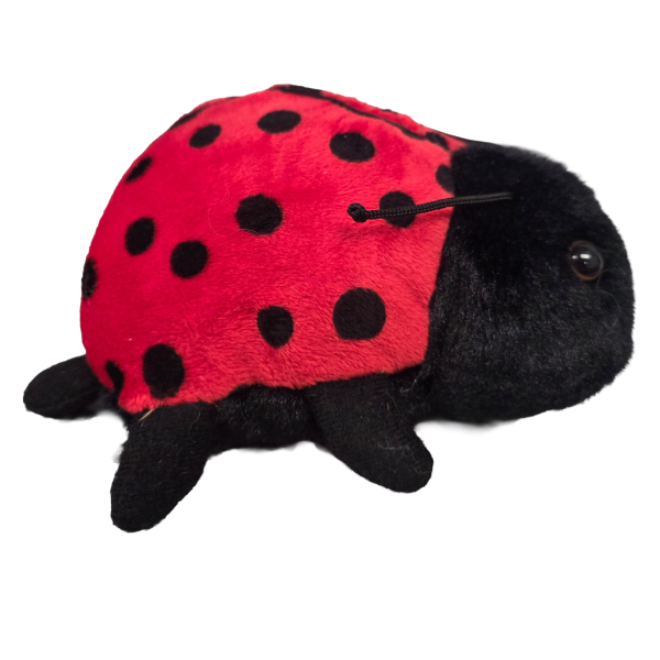 Canned Ladybug - Image 5