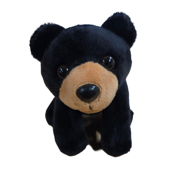 Canned Black Bear (Montana Edition) - Image 5