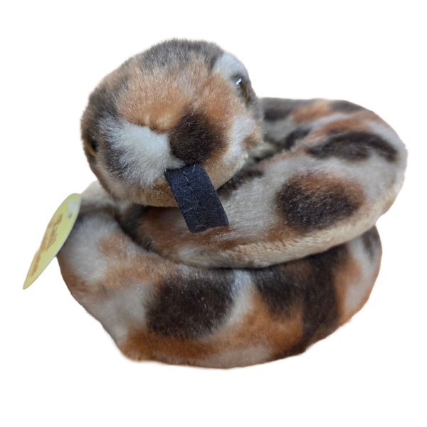 Canned Rattlesnake (Montana Edition) - Image 6