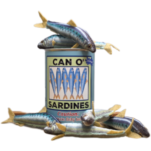 Can O' Sardines
