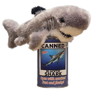 Canned Blacktip Shark