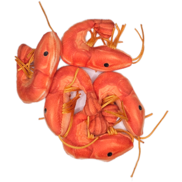 Can O' Shrimp - Image 5