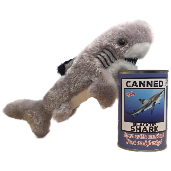Canned Blacktip Shark - Image 6