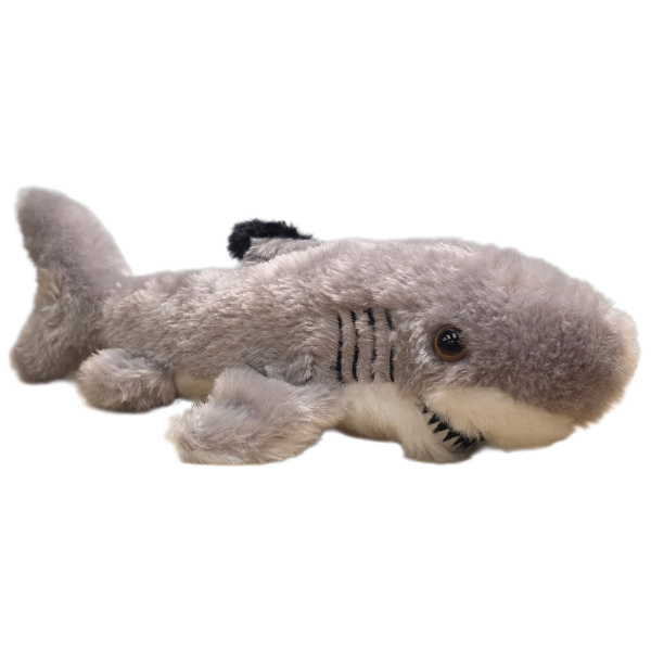 Canned Blacktip Shark - Image 5