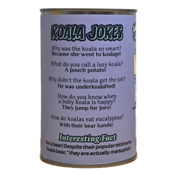 Canned Koala - Image 3