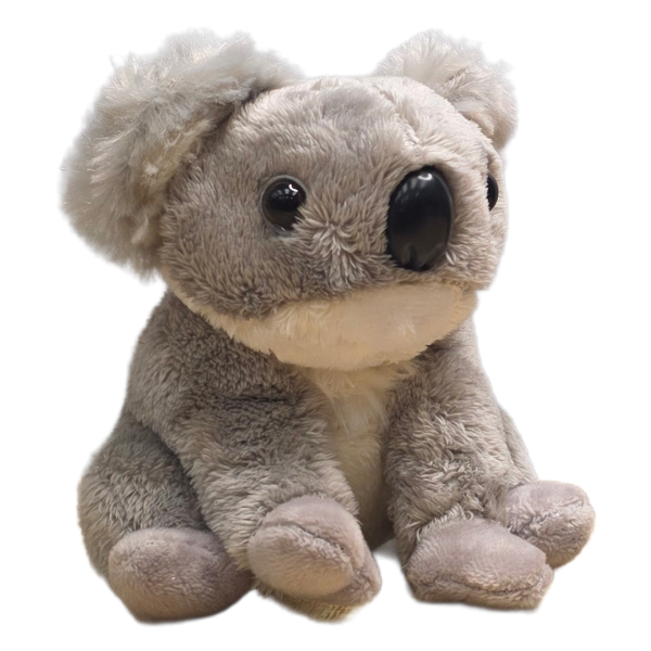 Canned Koala - Image 5