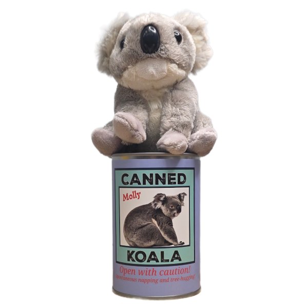 Canned Koala - Image 6