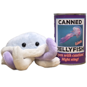 Canned Jellyfish