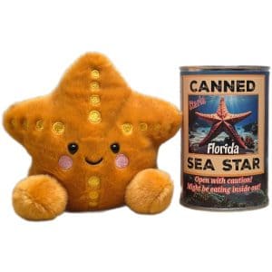 Sea Star (Florida Edition)
