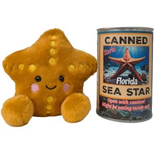 Sea Star (Florida Edition)